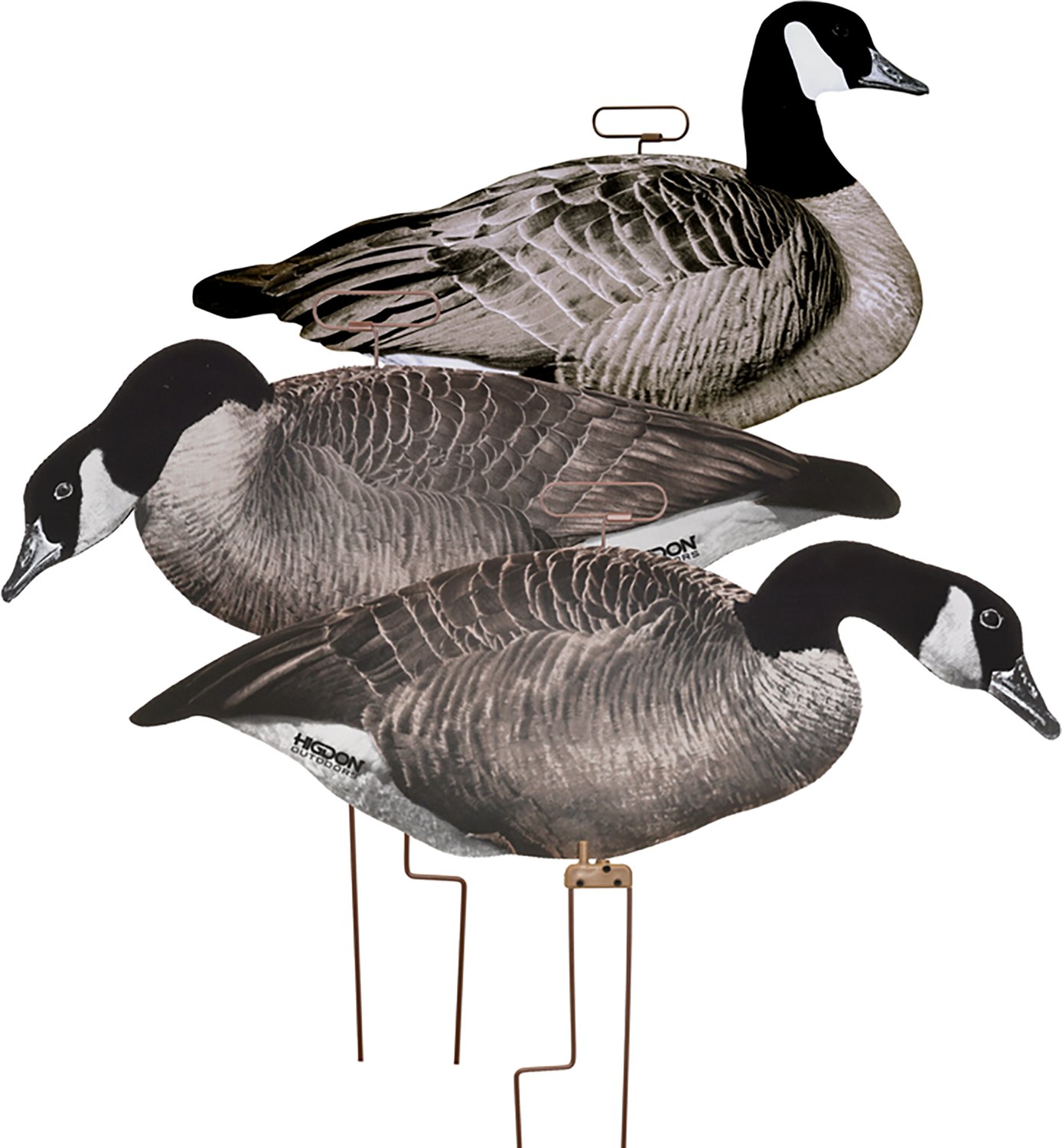 Higdon FLATS Canada Goose Motion Silhouette 12-Pack - view number 4