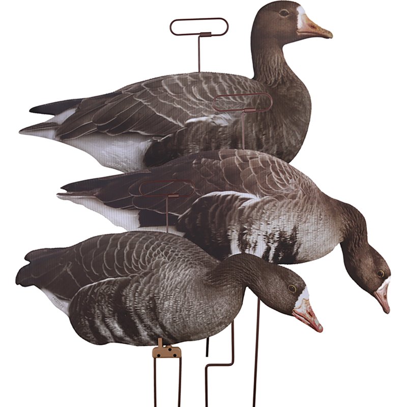 Higdon Flats Speckl… - image