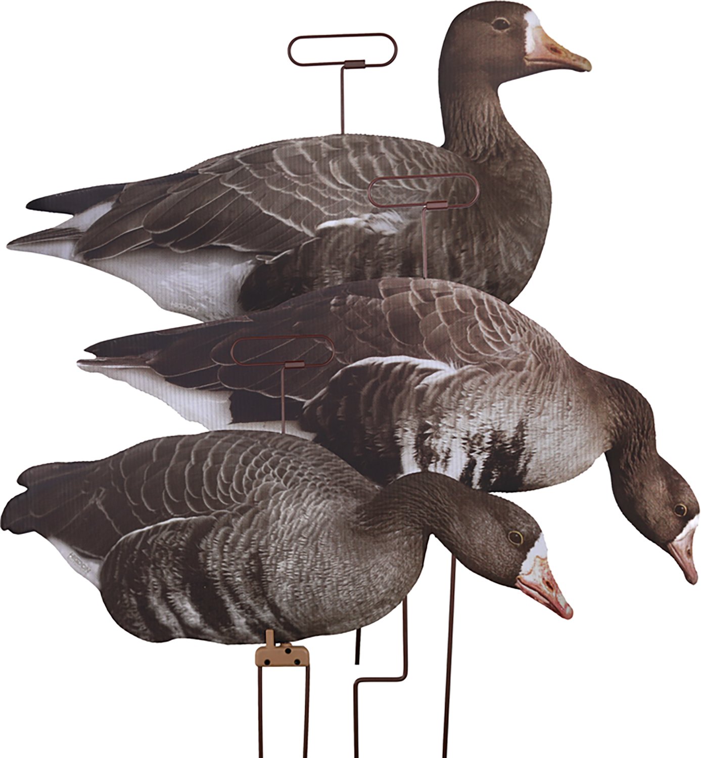 Higdon FLATS Specklebelly Goose Motion Silhouette 12-Pack