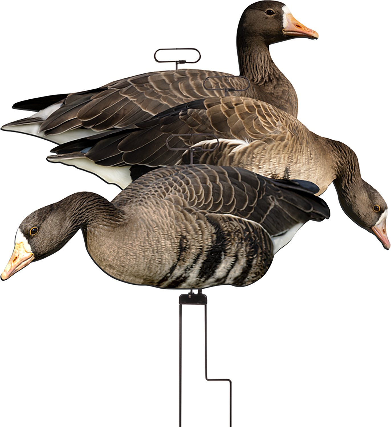 Higdon FLATS Specklebelly Goose Motion Silhouette 12-Pack
