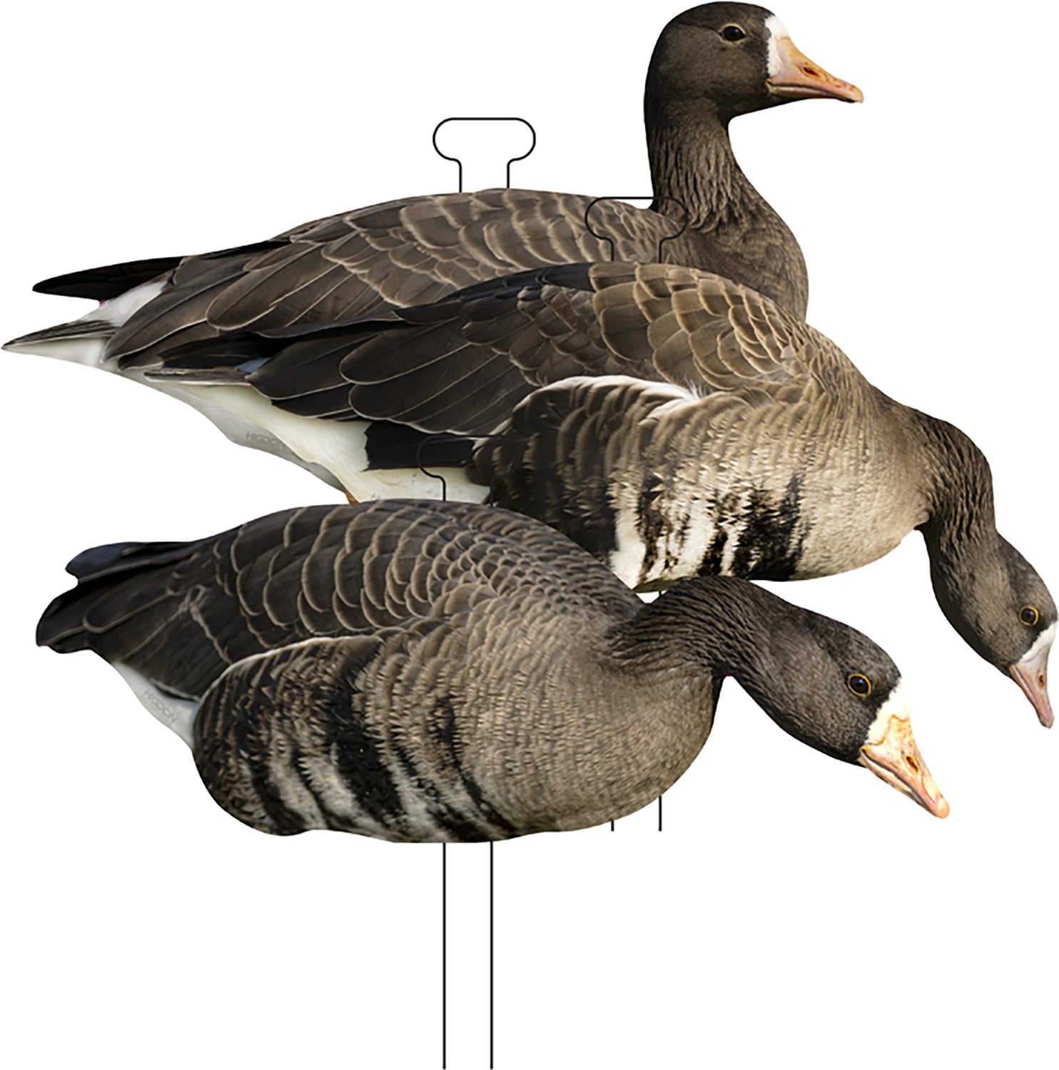Higdon FLATS Specklebelly Goose Silhouette 12-Pack - view number 7