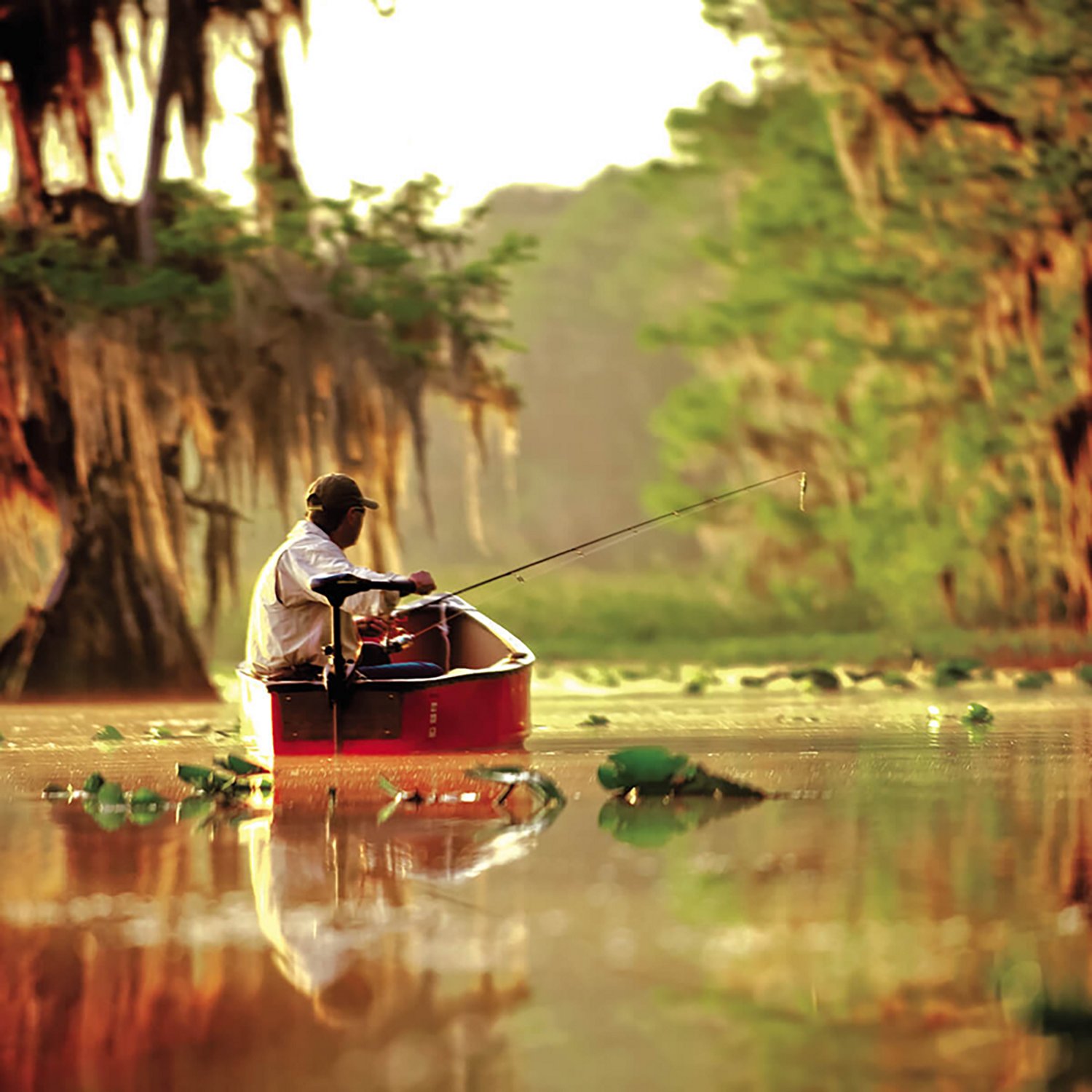 Minn Kota FW One Hand Steer Electric Transom Mount Trolling Motor - view number 5