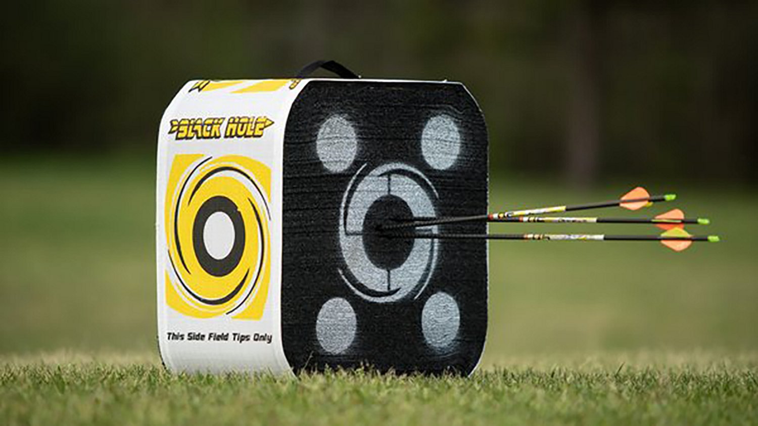 Block Black Hole 22 Archery Target - view number 2