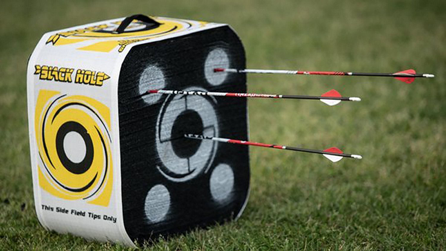 Block Black Hole 22 Archery Target - view number 3