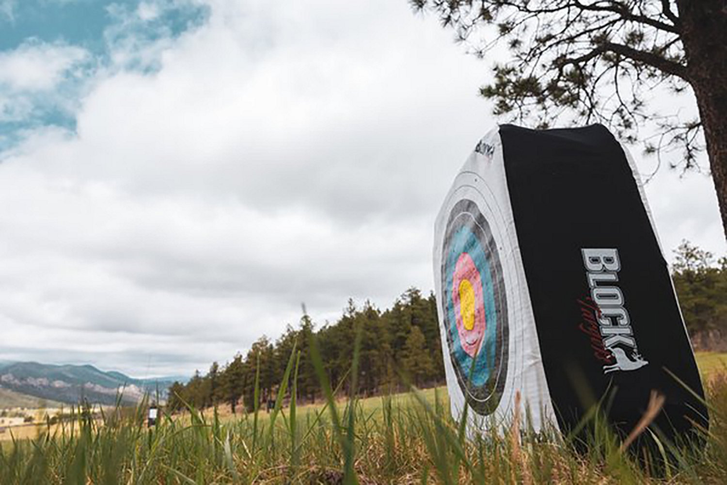 BLOCK Bullseye 34 Archery Target - view number 5