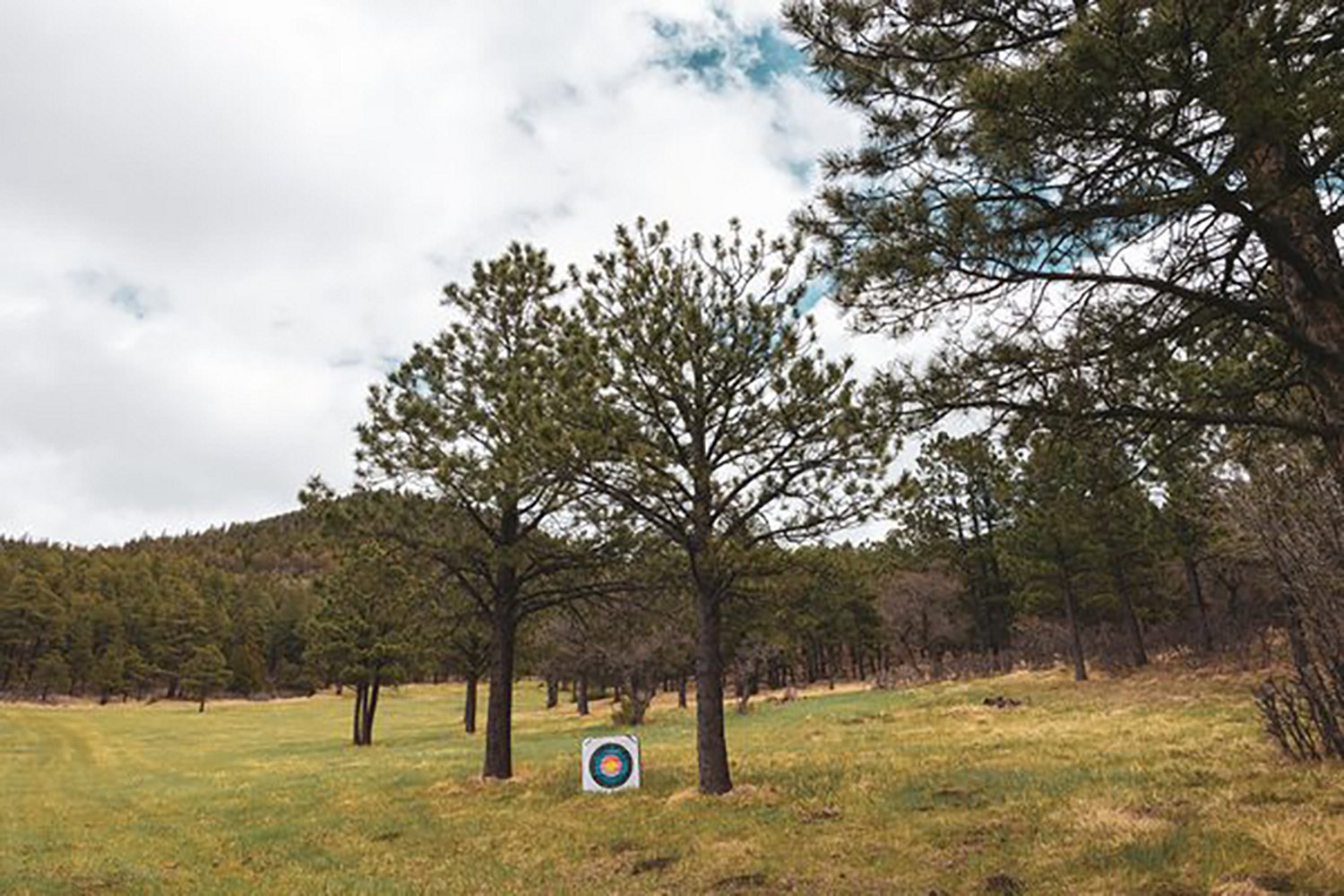 BLOCK Bullseye 34 Archery Target - view number 6