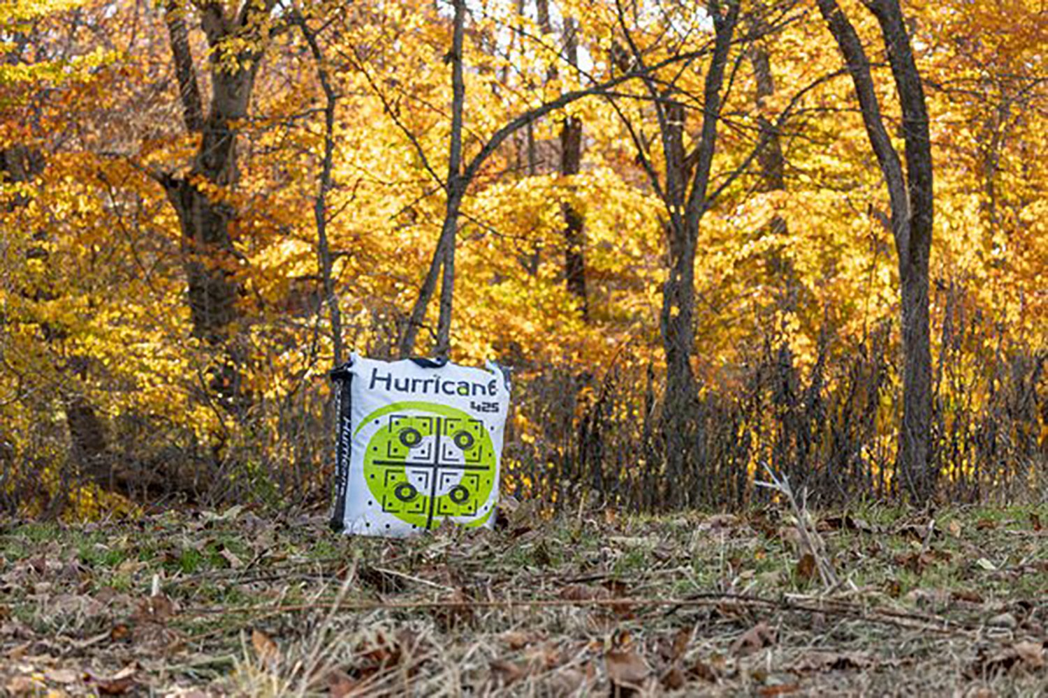 Hurricane 25 Archery Bag Target - view number 5