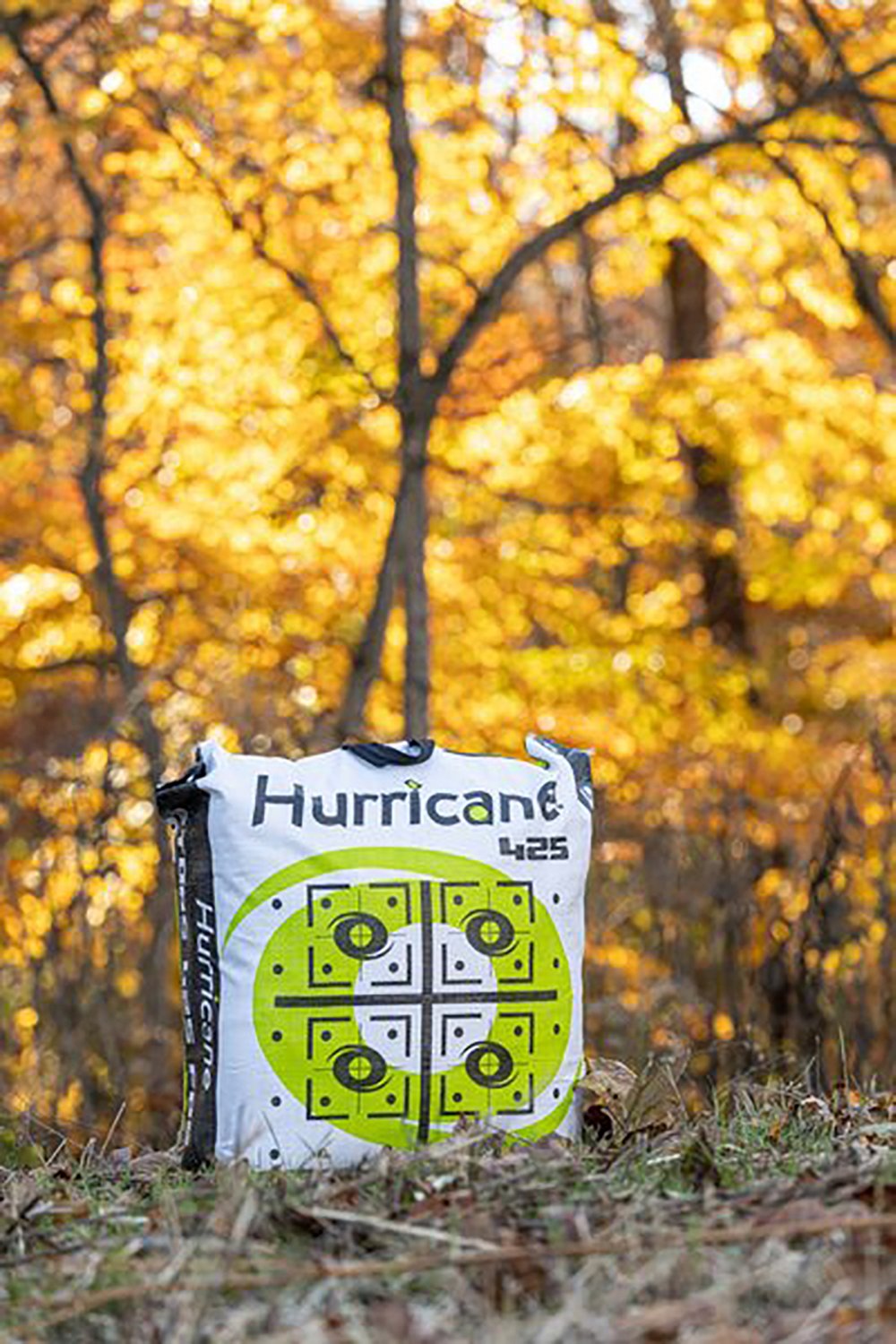 Hurricane 25 Archery Bag Target - view number 6