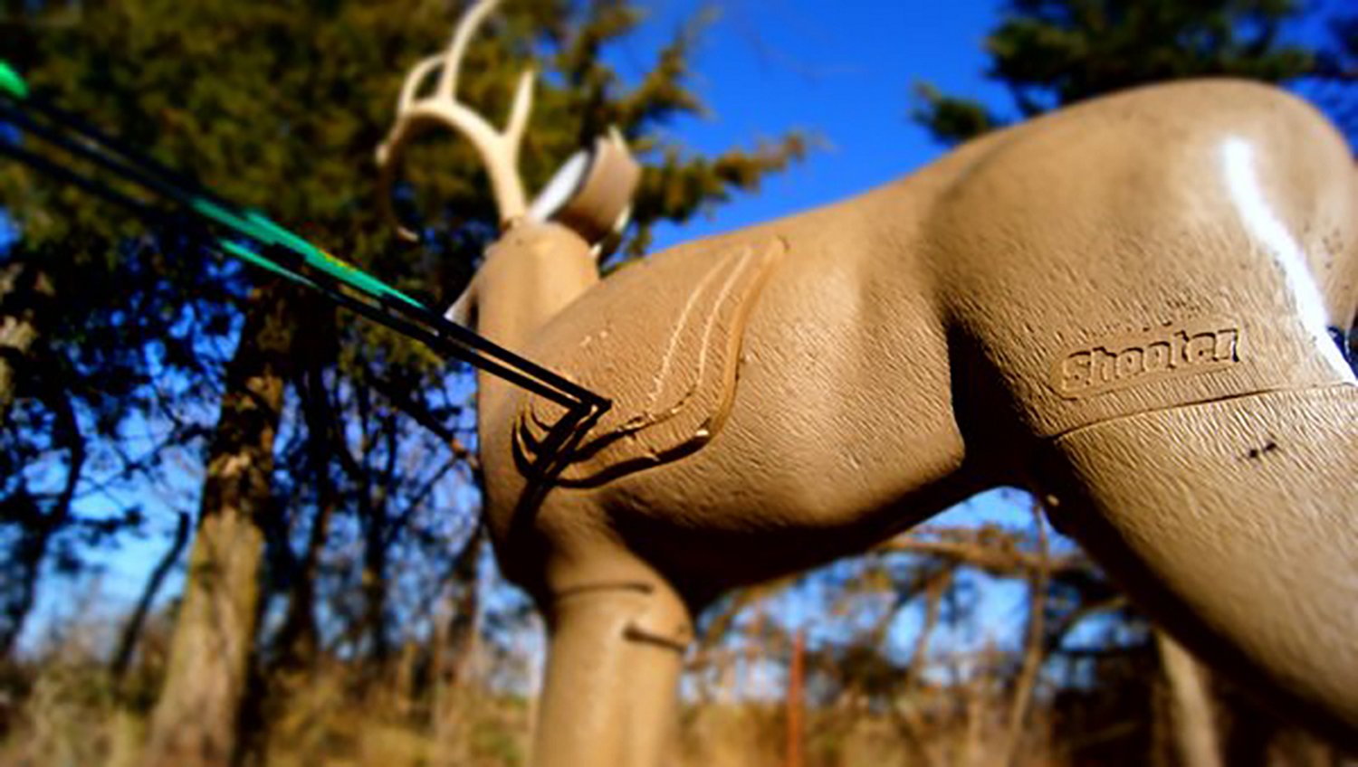 Shooter Buck 3-D Archery Target - view number 4