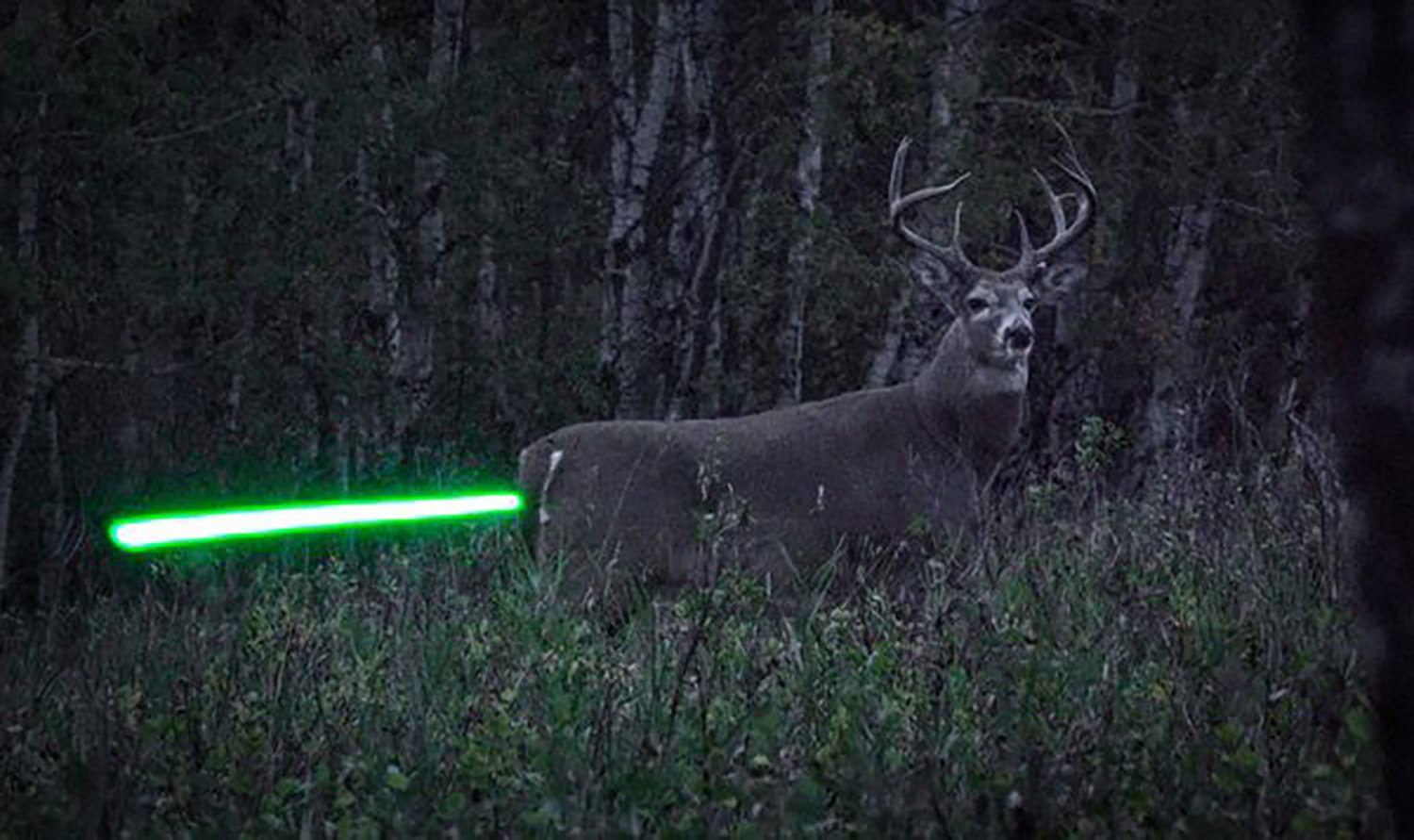 Nockturnal Fit Illuminating Arrow Nock 3 Pack - view number 6