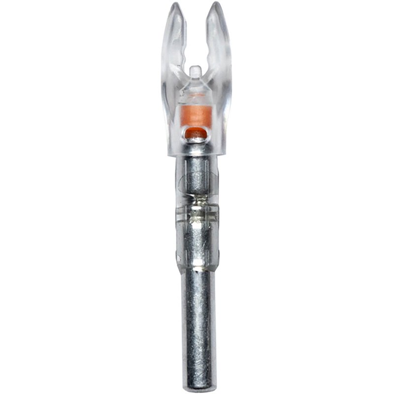 Nockturnal Fit Illu… - image