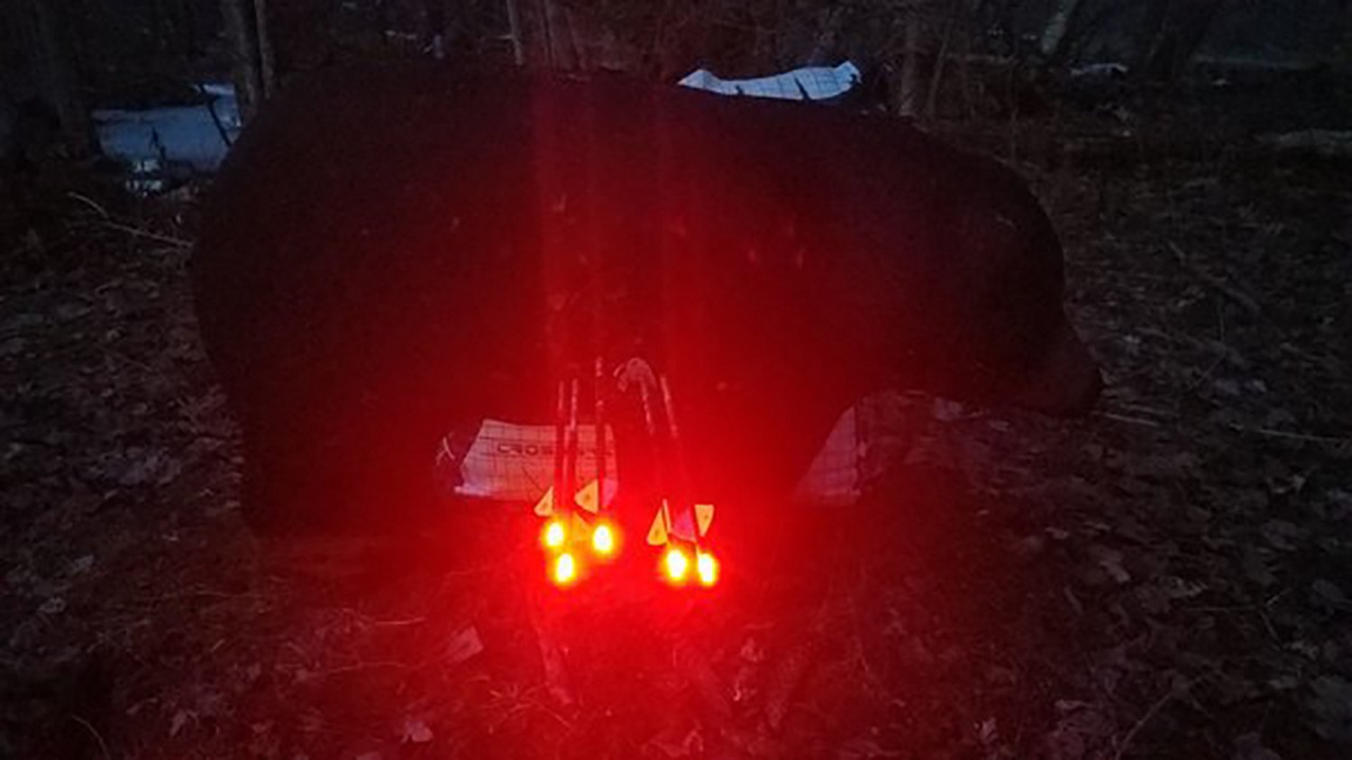 Nockturnal Fit Illuminating Arrow Nock 3 Pack - view number 3