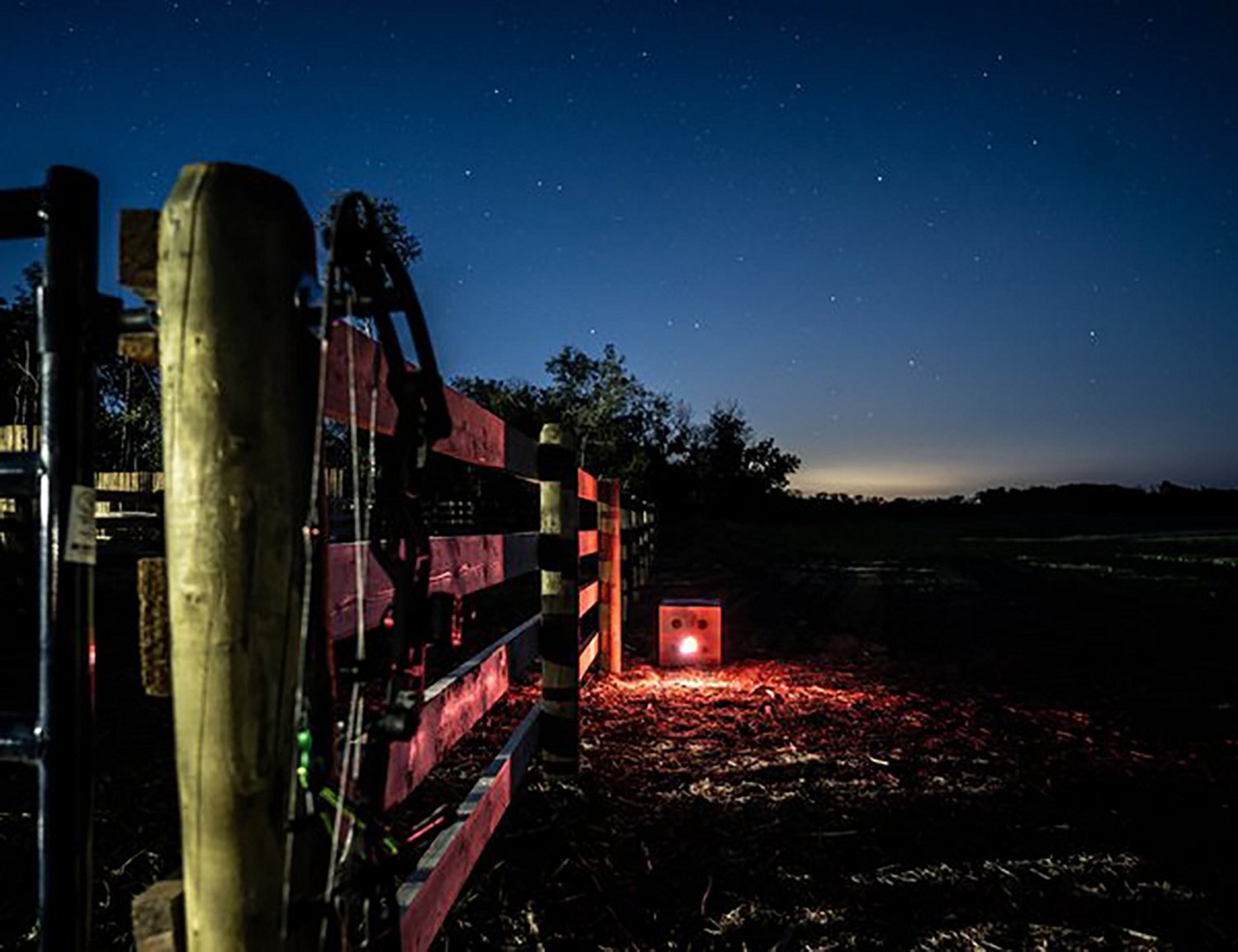 Nockturnal Fit Illuminating Arrow Nock 3 Pack - view number 5