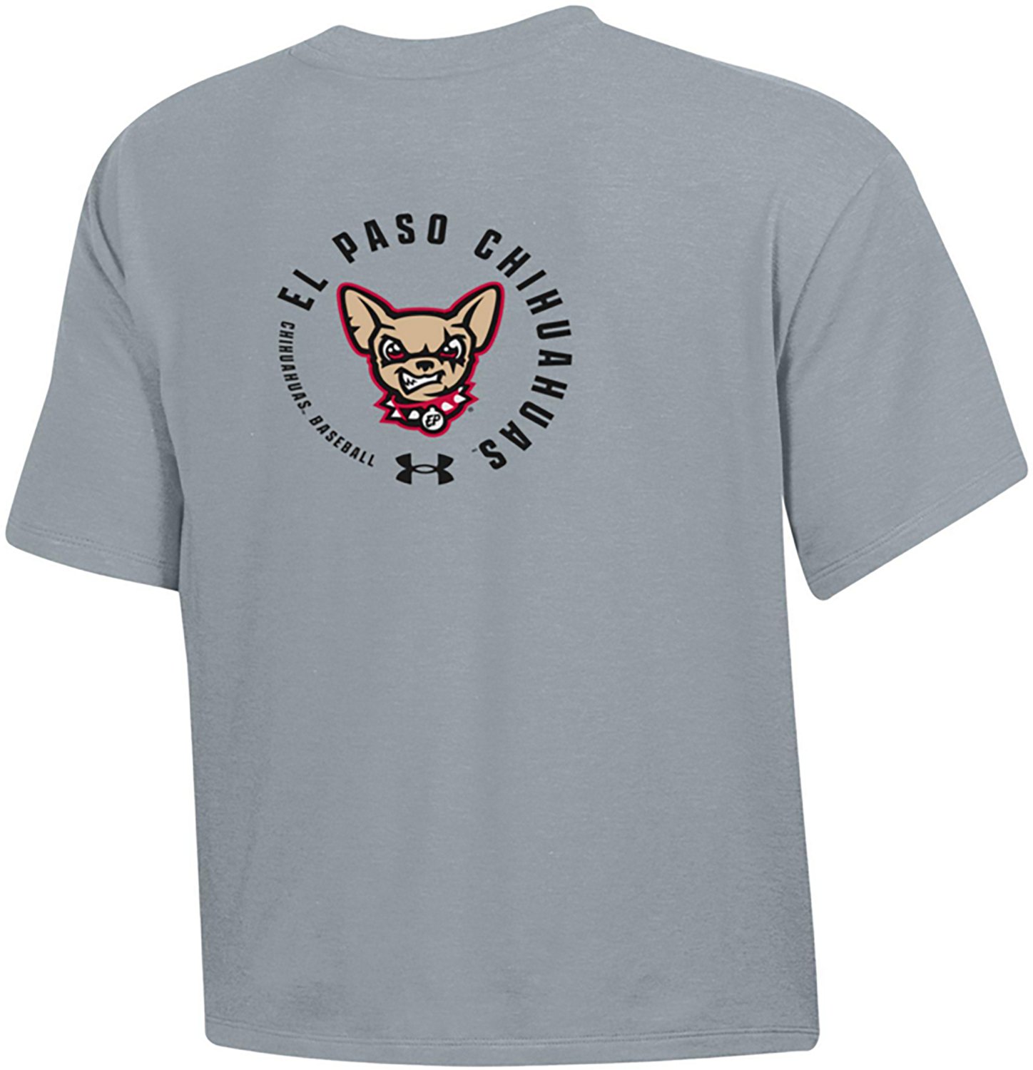 Under Armour Women's Chihuahuas Frozen Ropes All Day T-shirt - view number 2