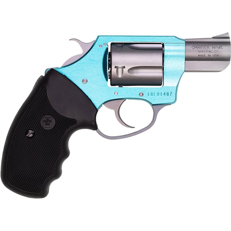 Charter Arms Underc… - image