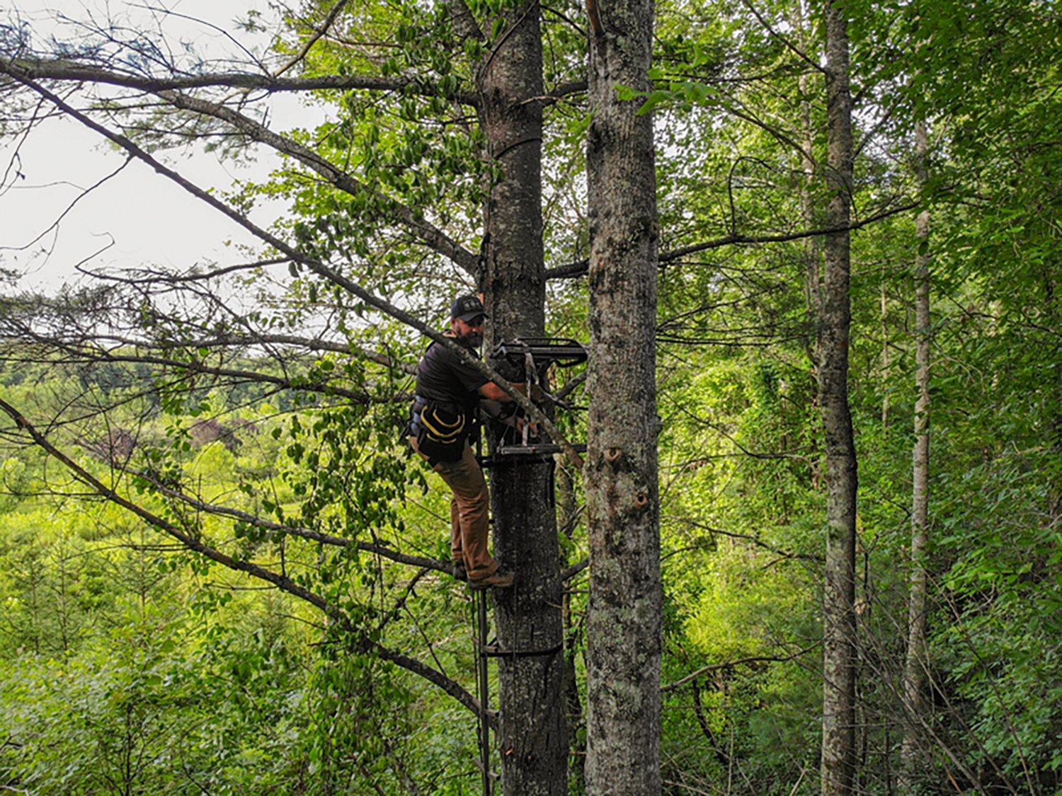 Hawk Cruzer Hang On Treestand - view number 5