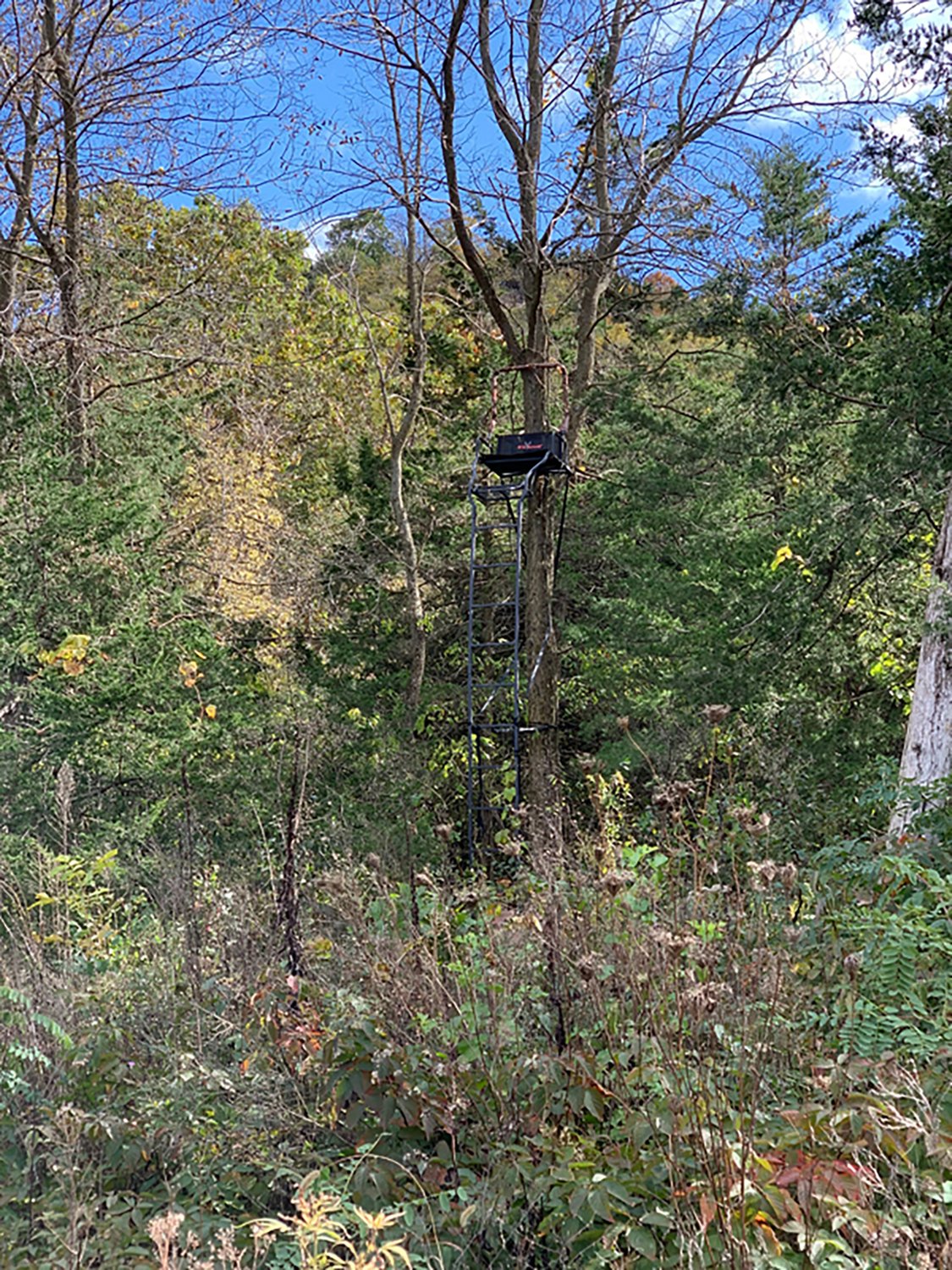 Big Game Warrior Elite Treestand  - view number 2
