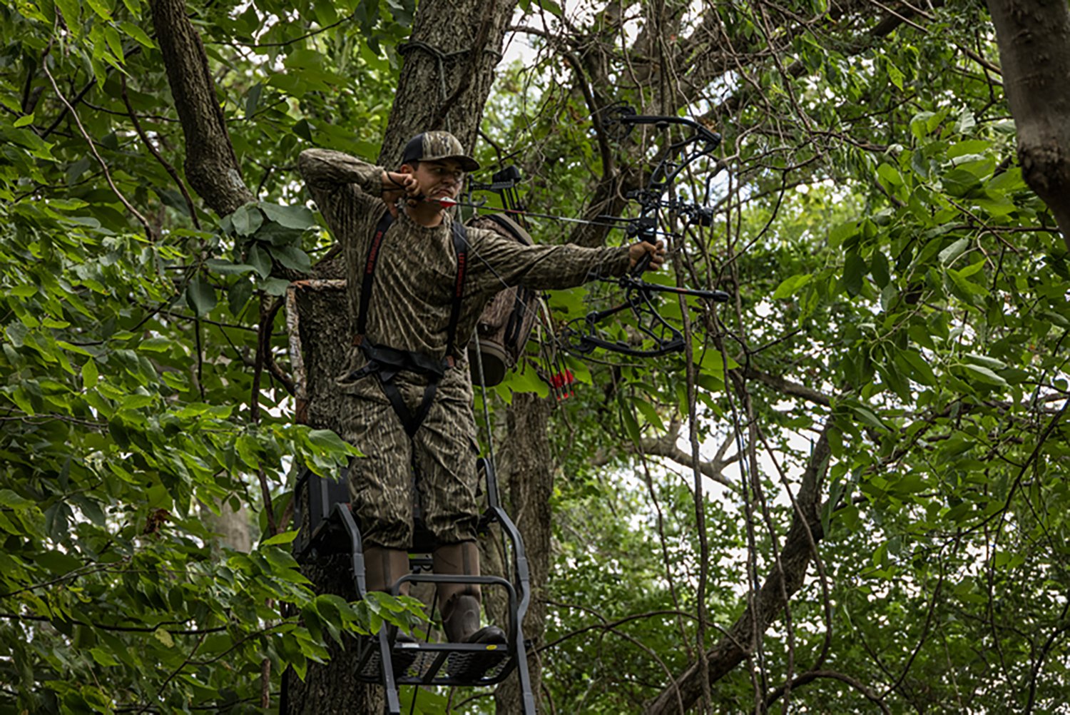 Big Game Warrior DXT Ladderstand - view number 4