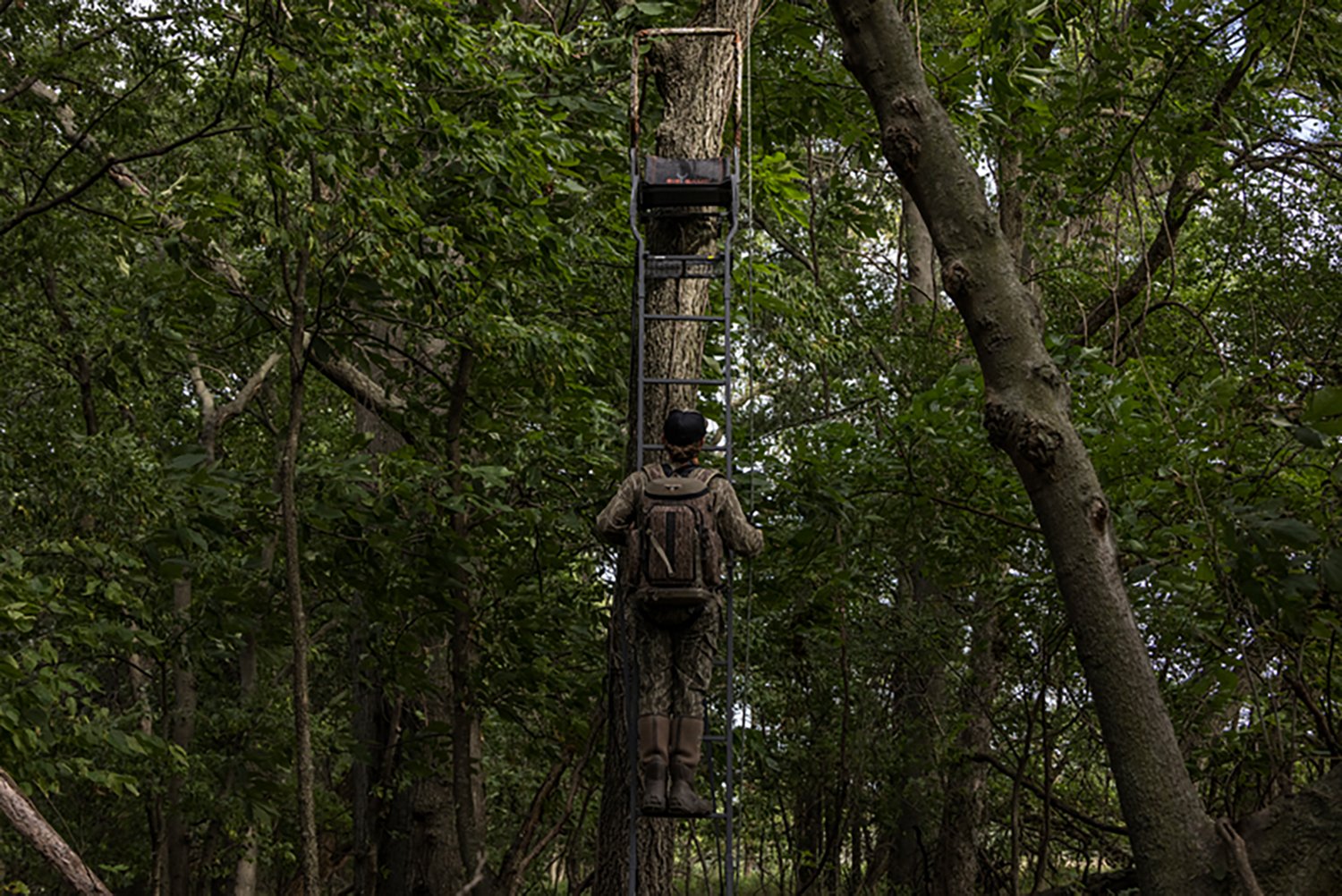 Big Game Warrior DXT Ladderstand - view number 8