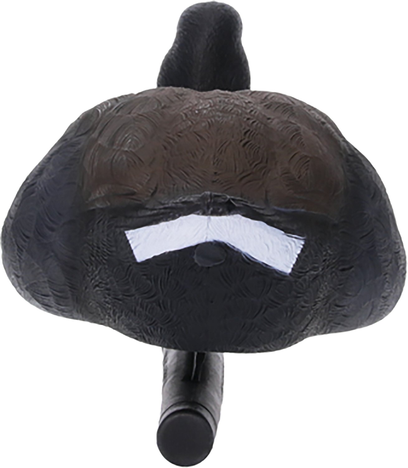 Avian X Topflight Coot Decoys 6-Pack