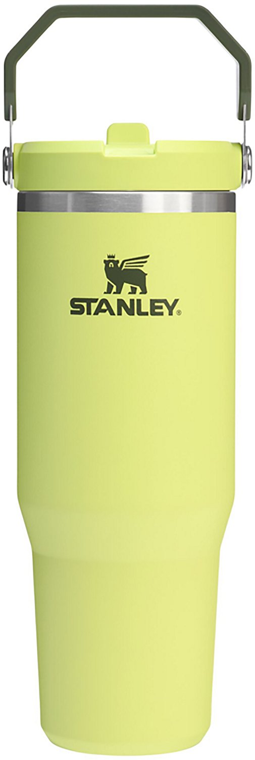 Stanley IceFlow 30 oz Classic Flip Straw Summer Edit Insulated Tumbler