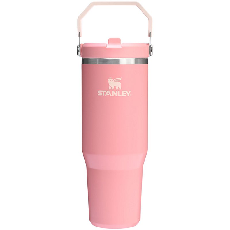 Stanley Iceflow 30 … - image