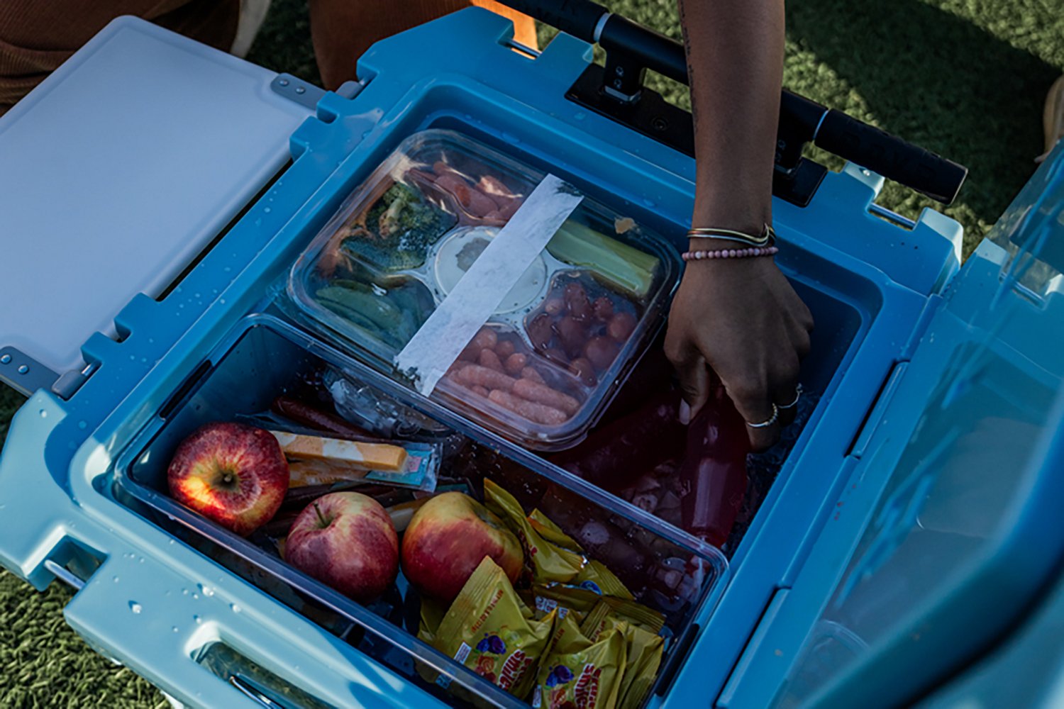 RovR RollR 45 QT Wheeled Hard Cooler - view number 8
