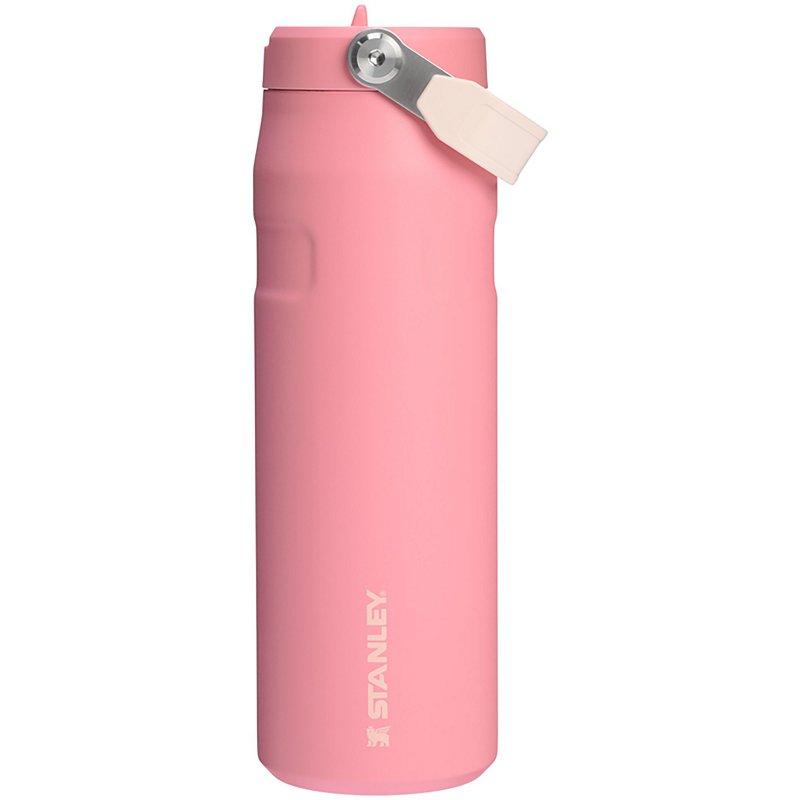 Stanley Iceflow 24 … - image