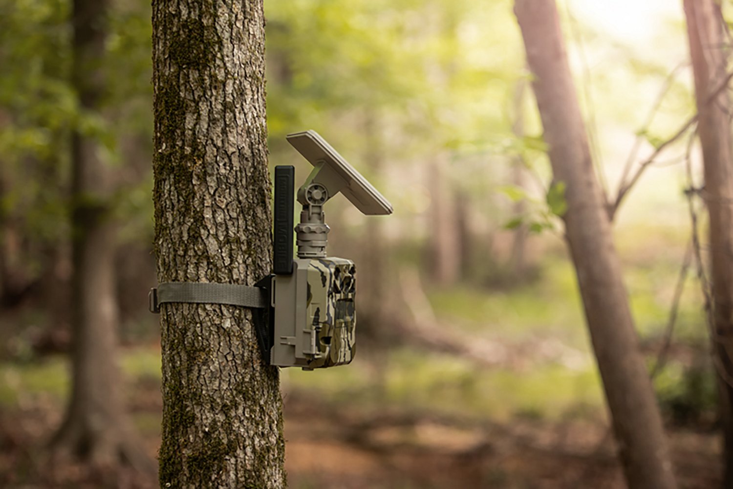 Moultrie Edge Single with Solar Cellular MP Trail Camera - view number 5