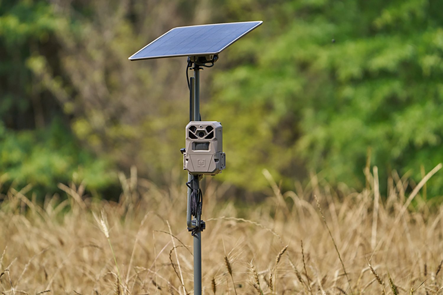 Moultrie EDGE Series Camera Stake - view number 2