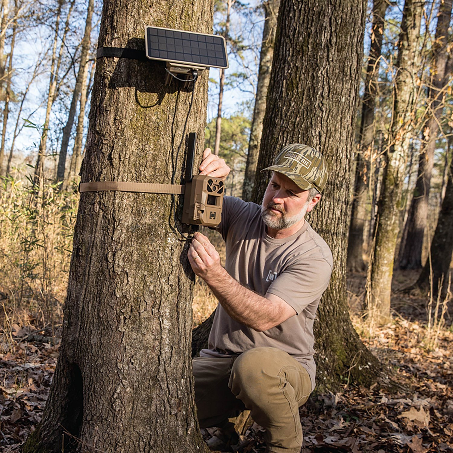 Moultrie Edge 3 Single 4.0 MP  with Solar Cellular Trail Camera