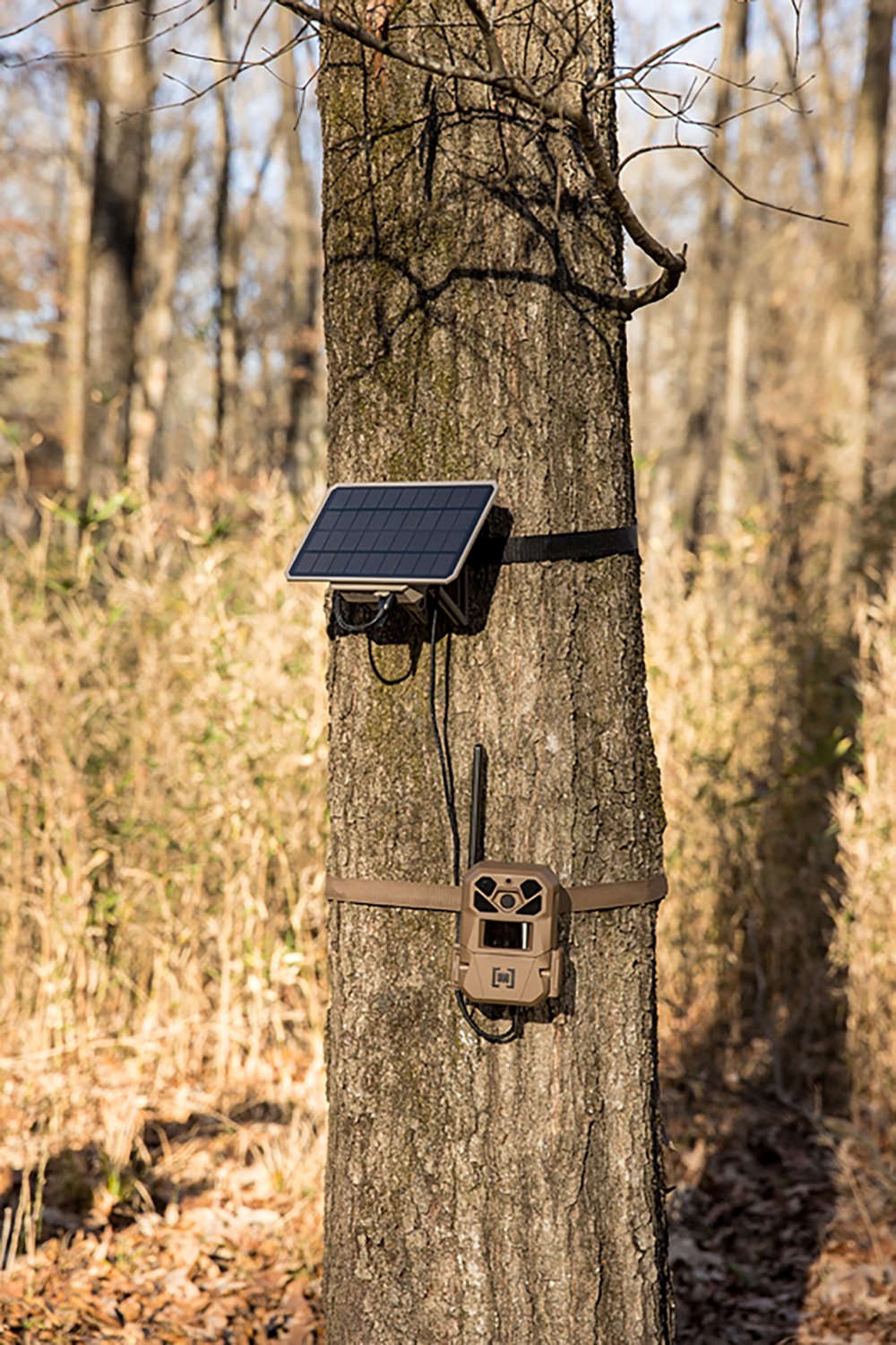 Moultrie Edge 3 Single 4.0 MP  with Solar Cellular Trail Camera