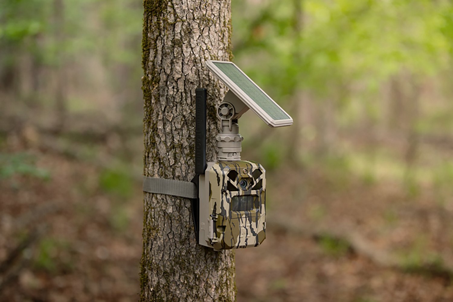 Moultrie Edge Solar 40MP Cellular Trail Camera with Rechargeable Battery Pack - view number 8