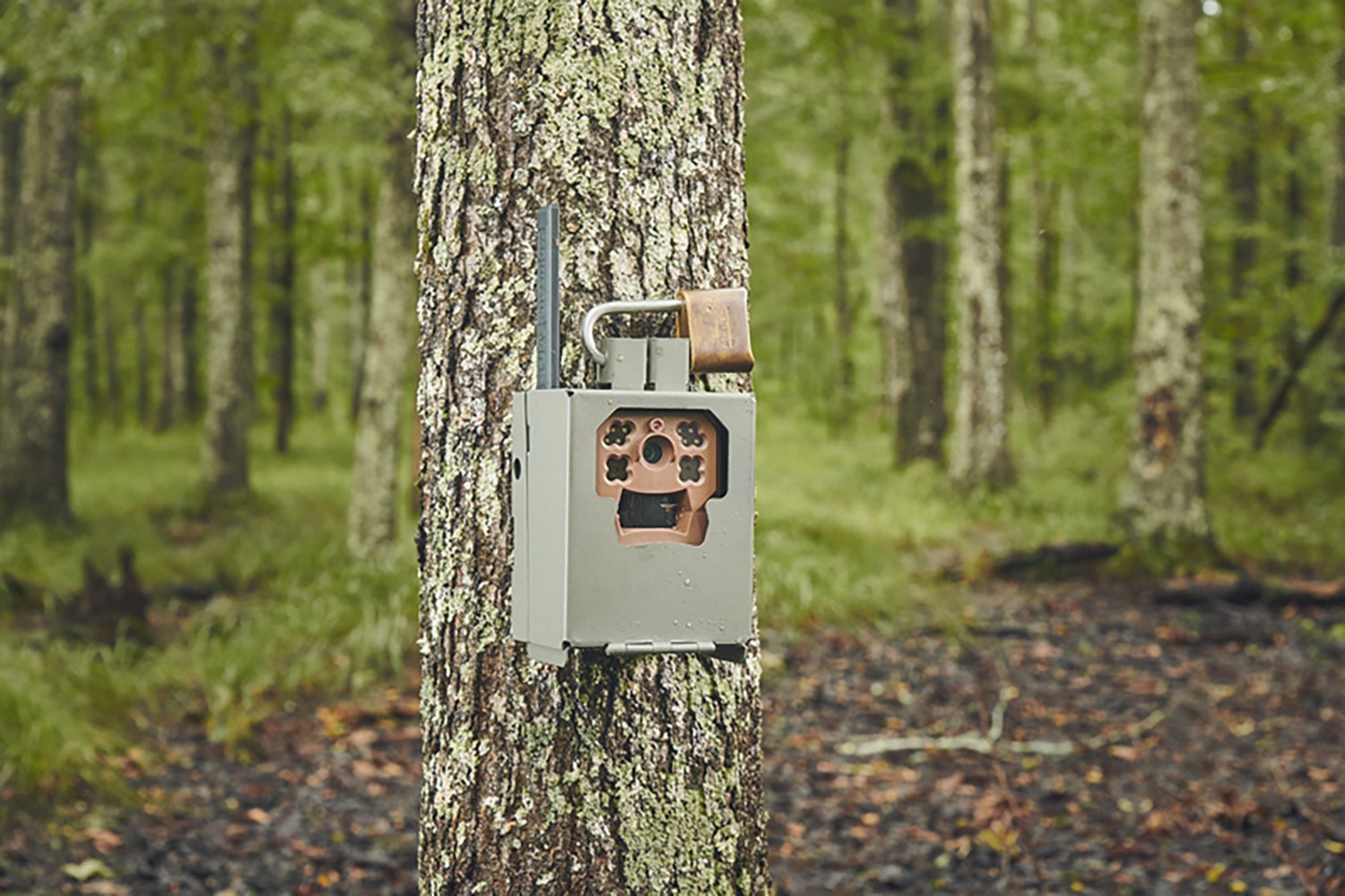 Moultrie EDGE Series Security Box - view number 7
