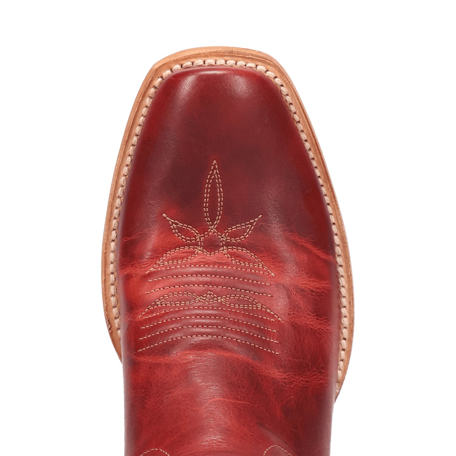 Dan Post Women's Adelaide Leather Boots - view number 5