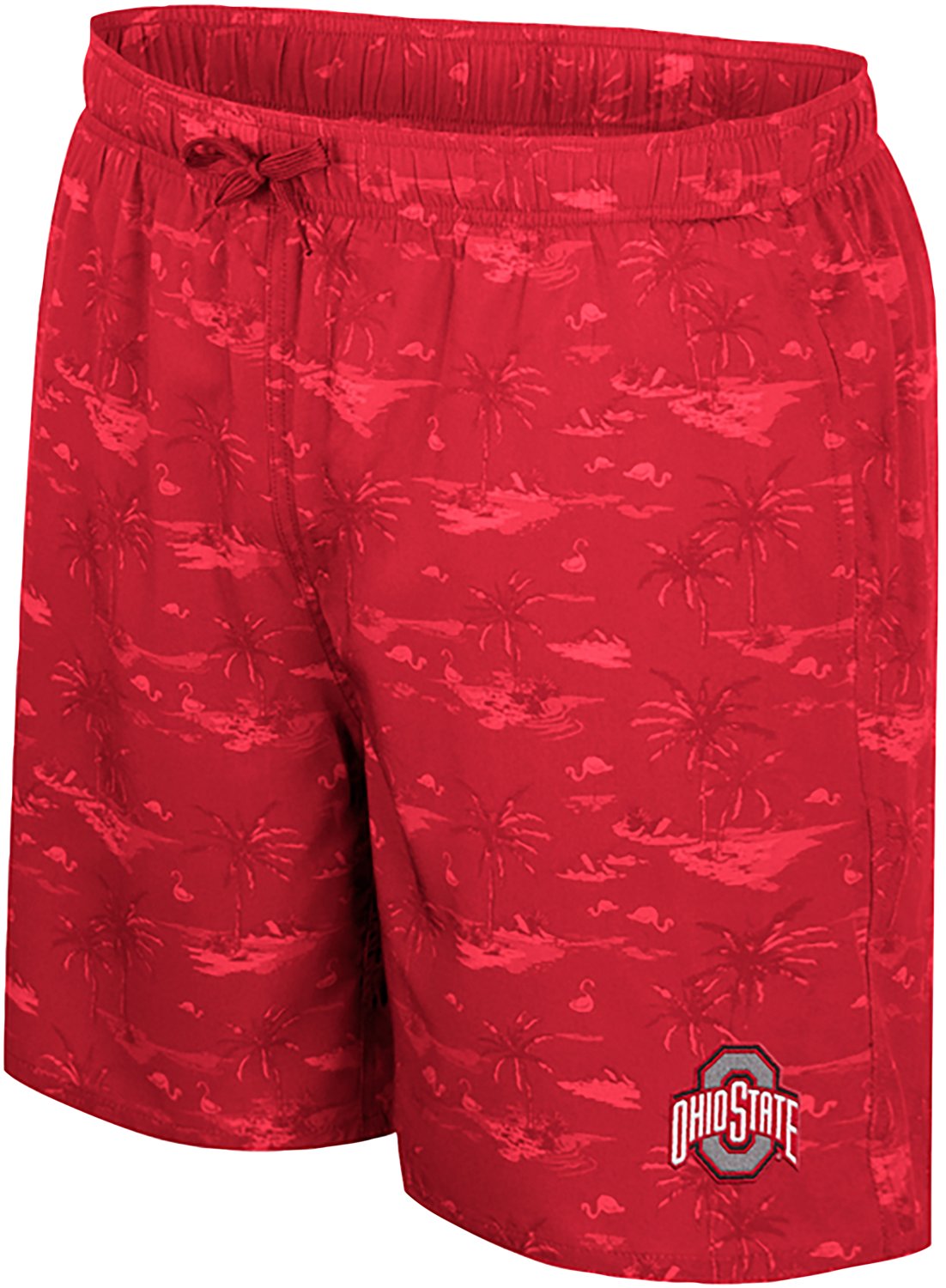 Colosseum Athletics Men's Ohio State Atmosphere Swim Shorts