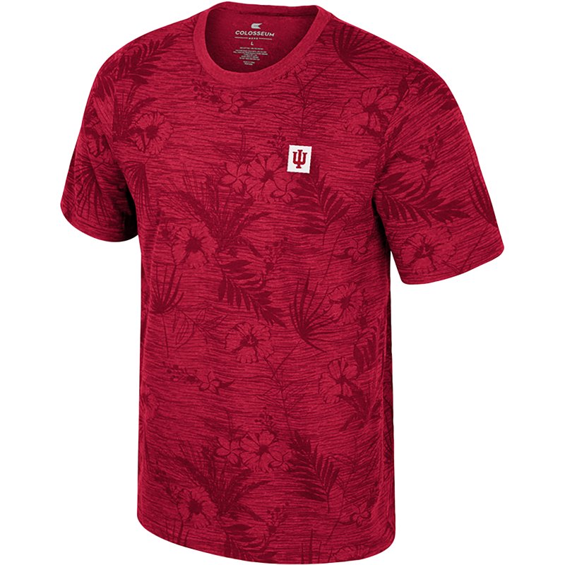Colosseum Athletics Men's Indiana Groves Printed T-shirt