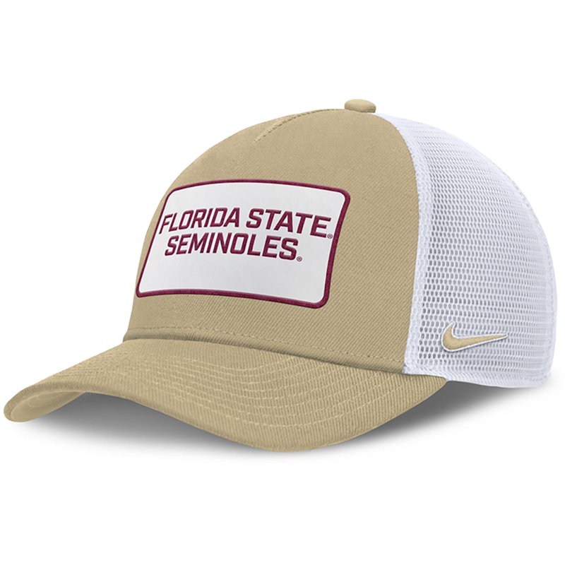 Nike Men's Florida … - image