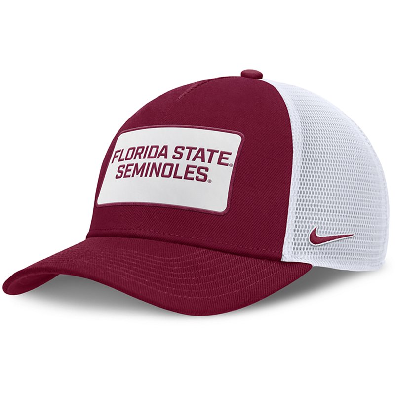 Nike Men's Florida … - image