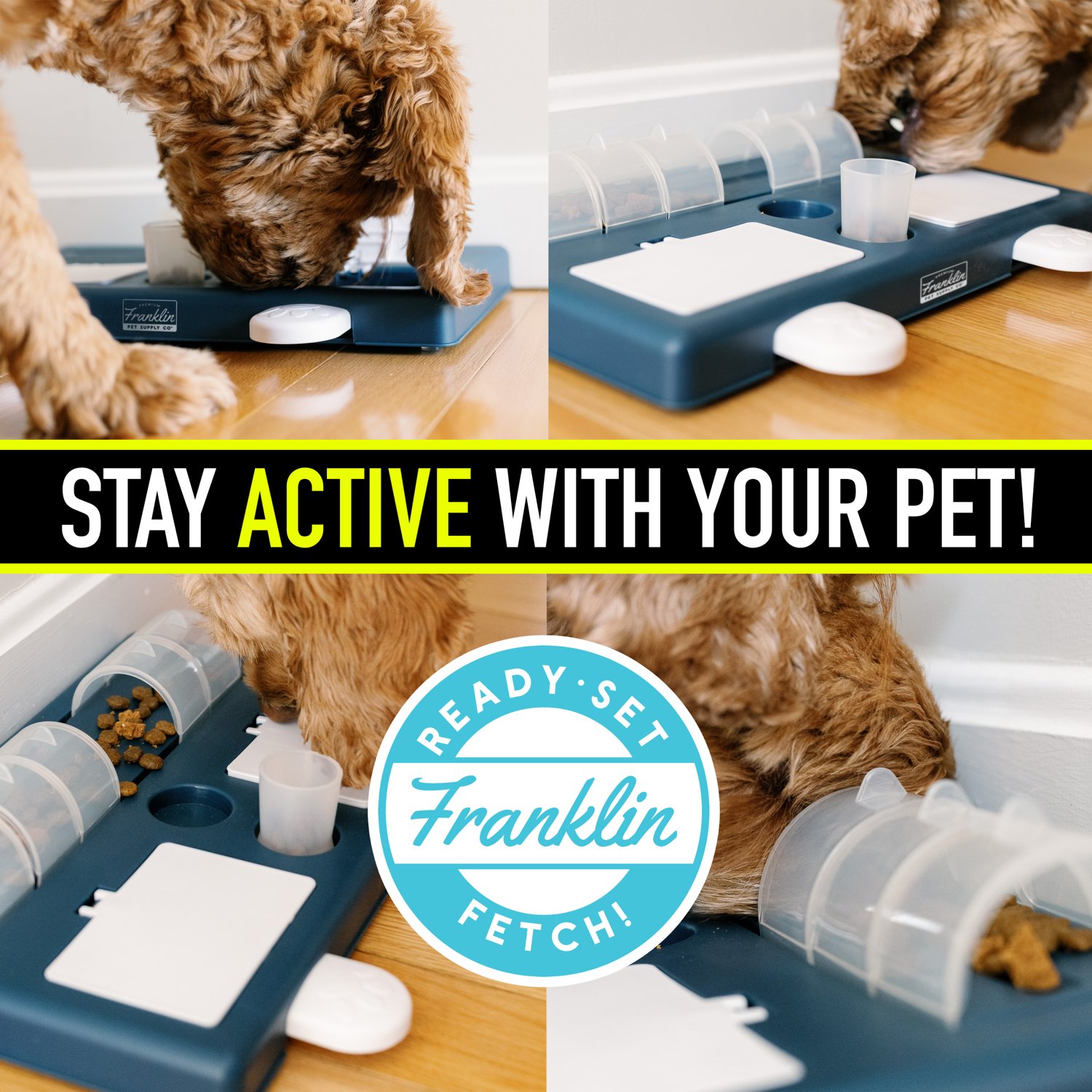 Franklin Pet Supply Ready Set Fetch Interactive Pet Puzzle Toy