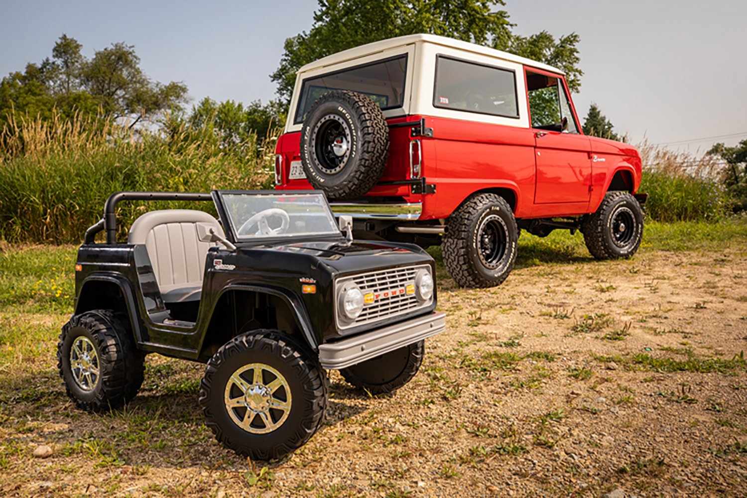 Flybar Ford Bronco - view number 3