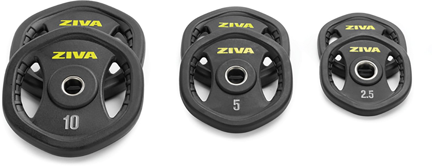 ZIVA 110 lb. Weight Set - view number 3