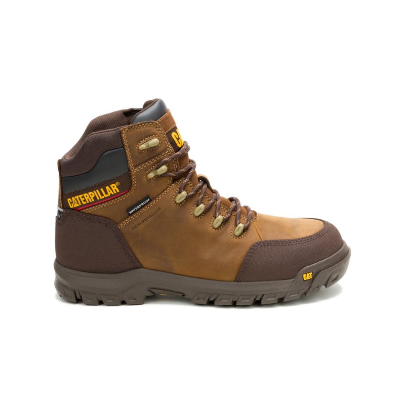 Cat Men's Resorptio… - image