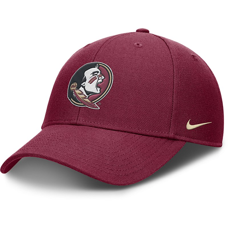 Nike Men's Florida … - image