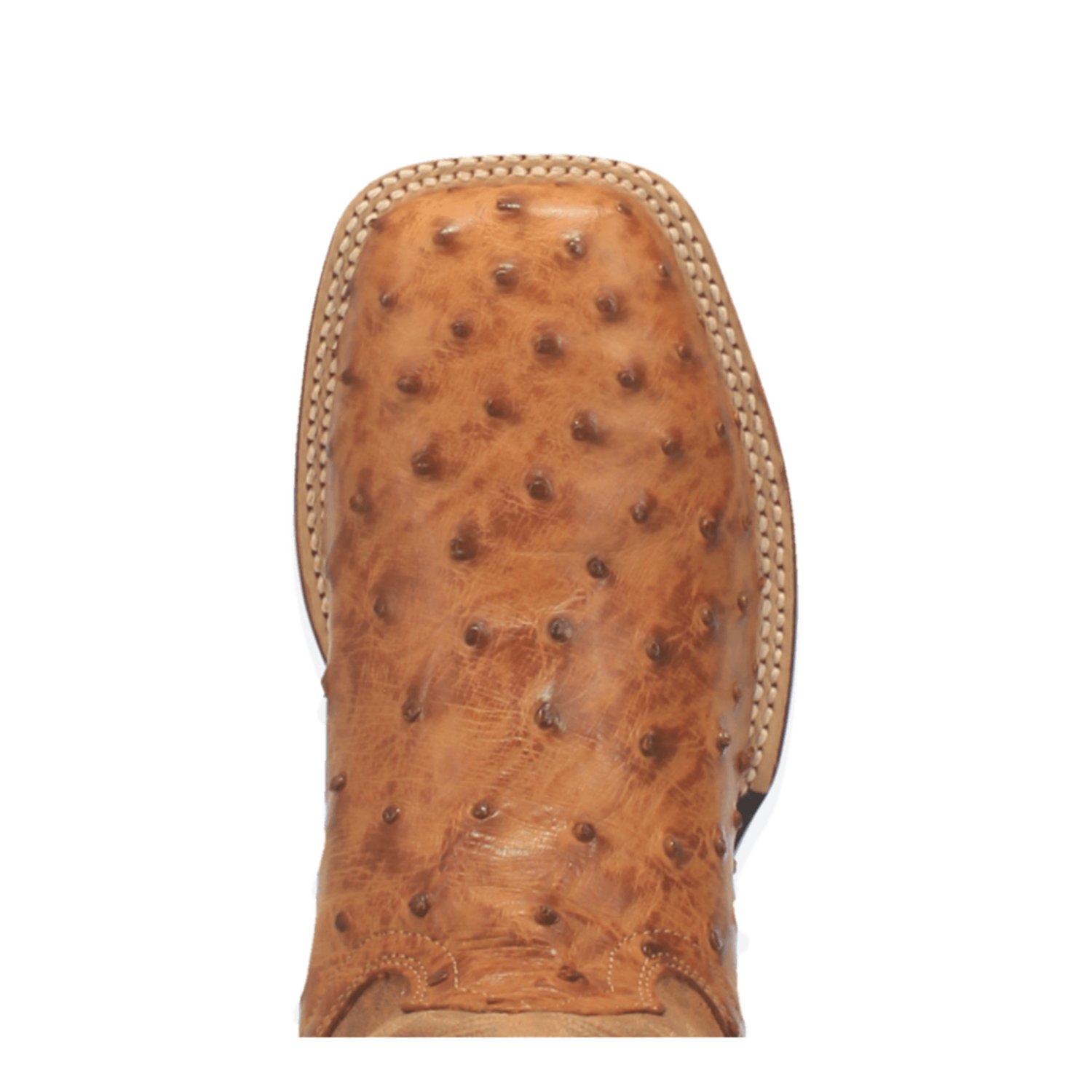 Dan Post Men's Alamosa Ostrich Skin Western Boots - view number 8