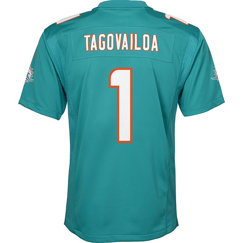 Nike Boys' Dolphins… - image