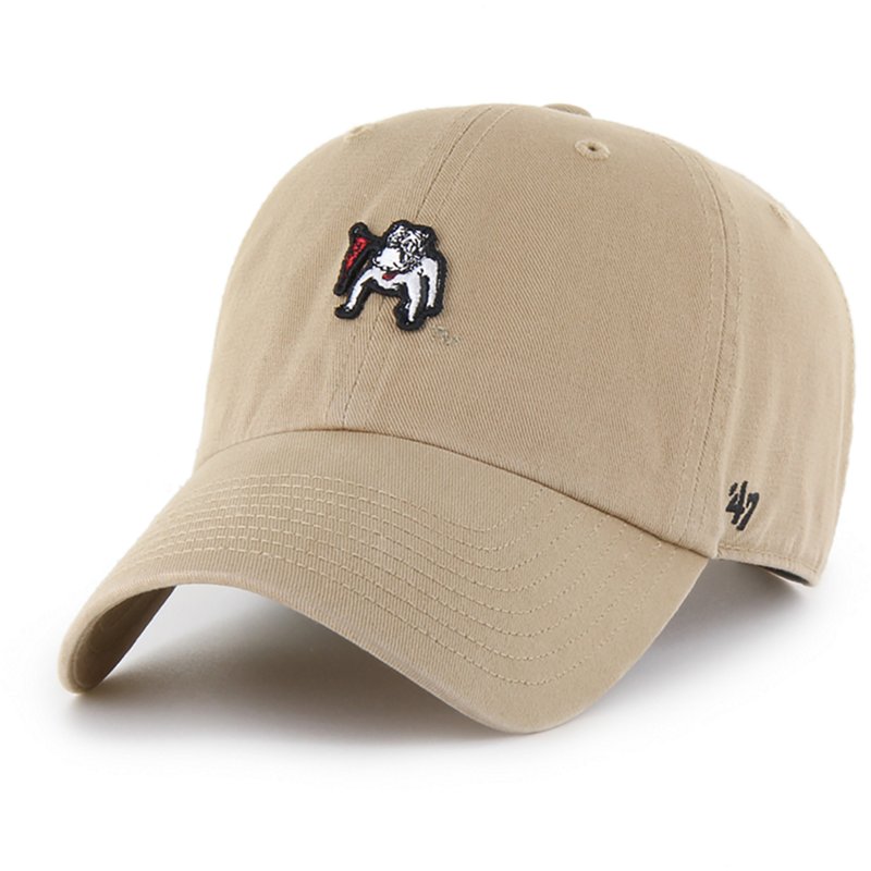 47 Georgia Micro Pa… - image
