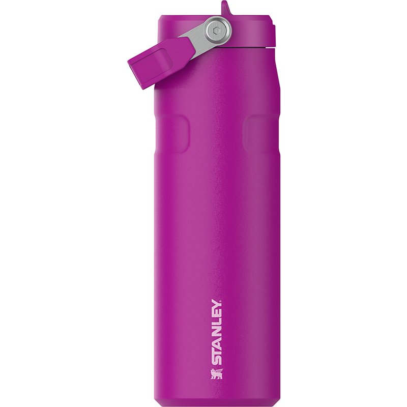 Stanley Iceflow 24 … - image
