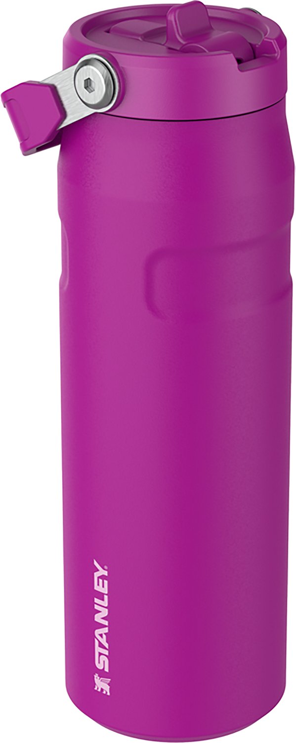 Stanley IceFlow 24 oz Bottle with Flip Straw Lid - view number 2