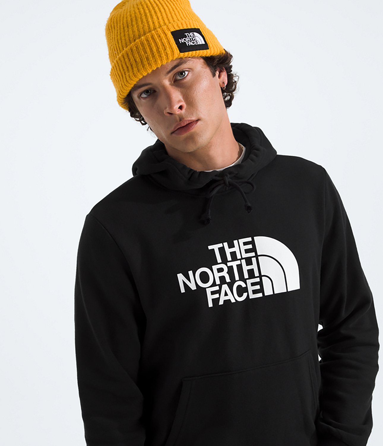 The North Face Men's Evolution Half Dome Hoodie - view number 2